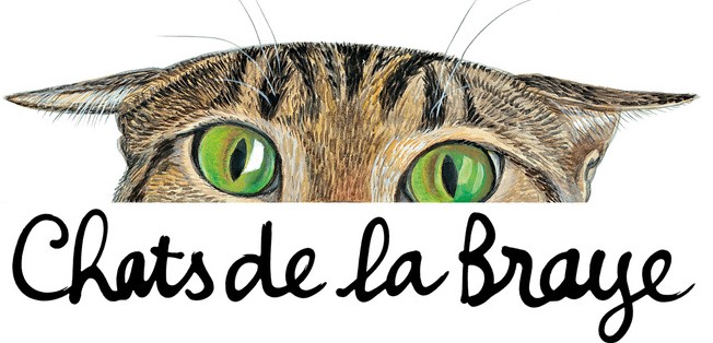 Chats de la Braye